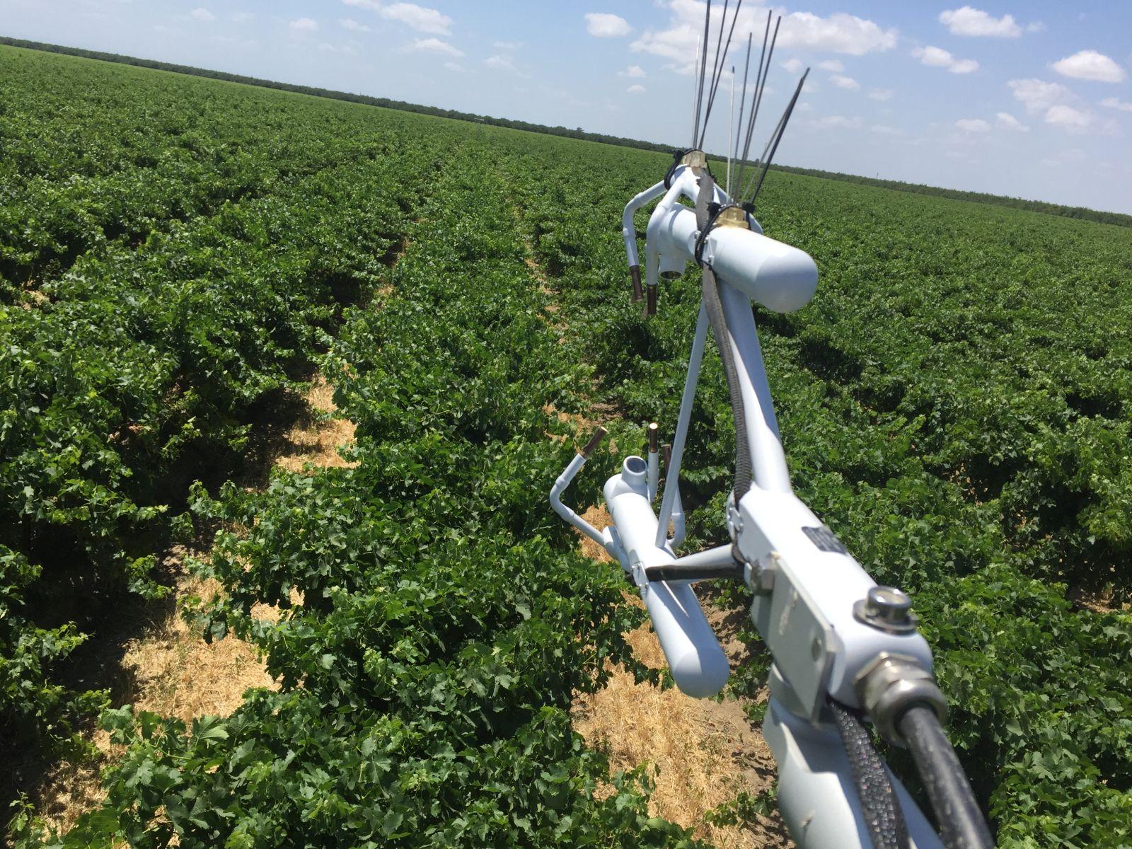Eddy covariance system over a vineyard